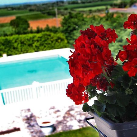 Miramurgia B&B Gravina in Puglia Extérieur photo