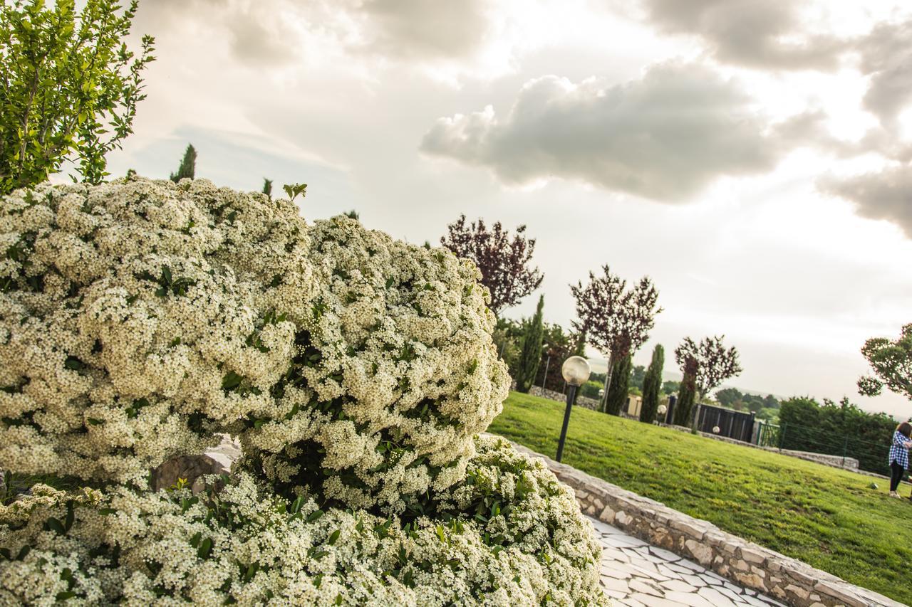 Miramurgia B&B Gravina in Puglia Extérieur photo